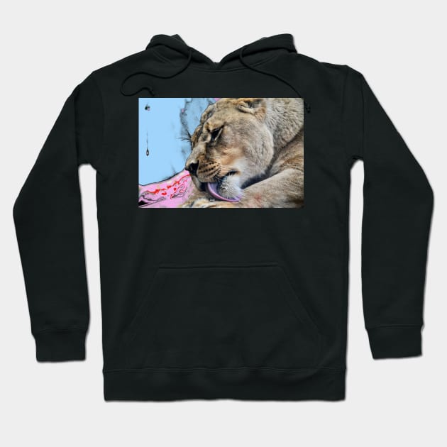 Lion / Swiss Artwork Photography Hoodie by RaphaelWolf